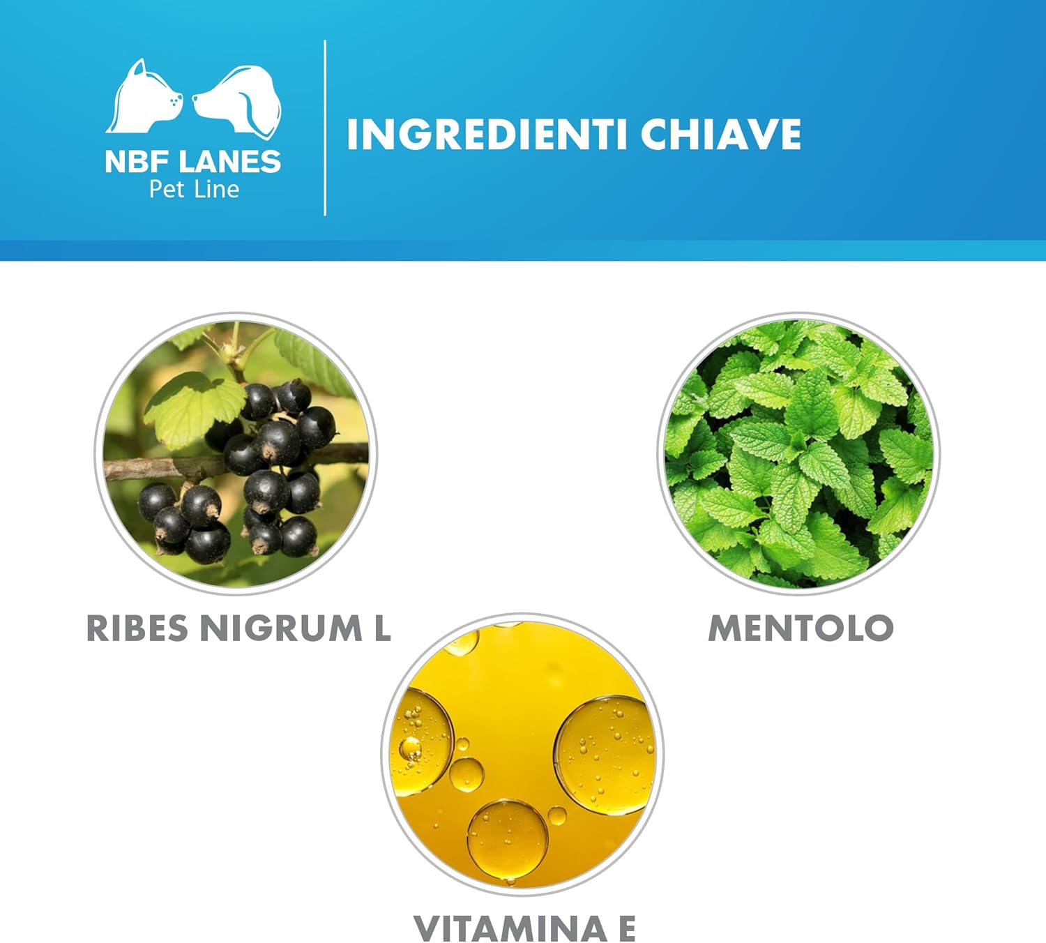Ribes Pet Emulsione zdjęcie 5