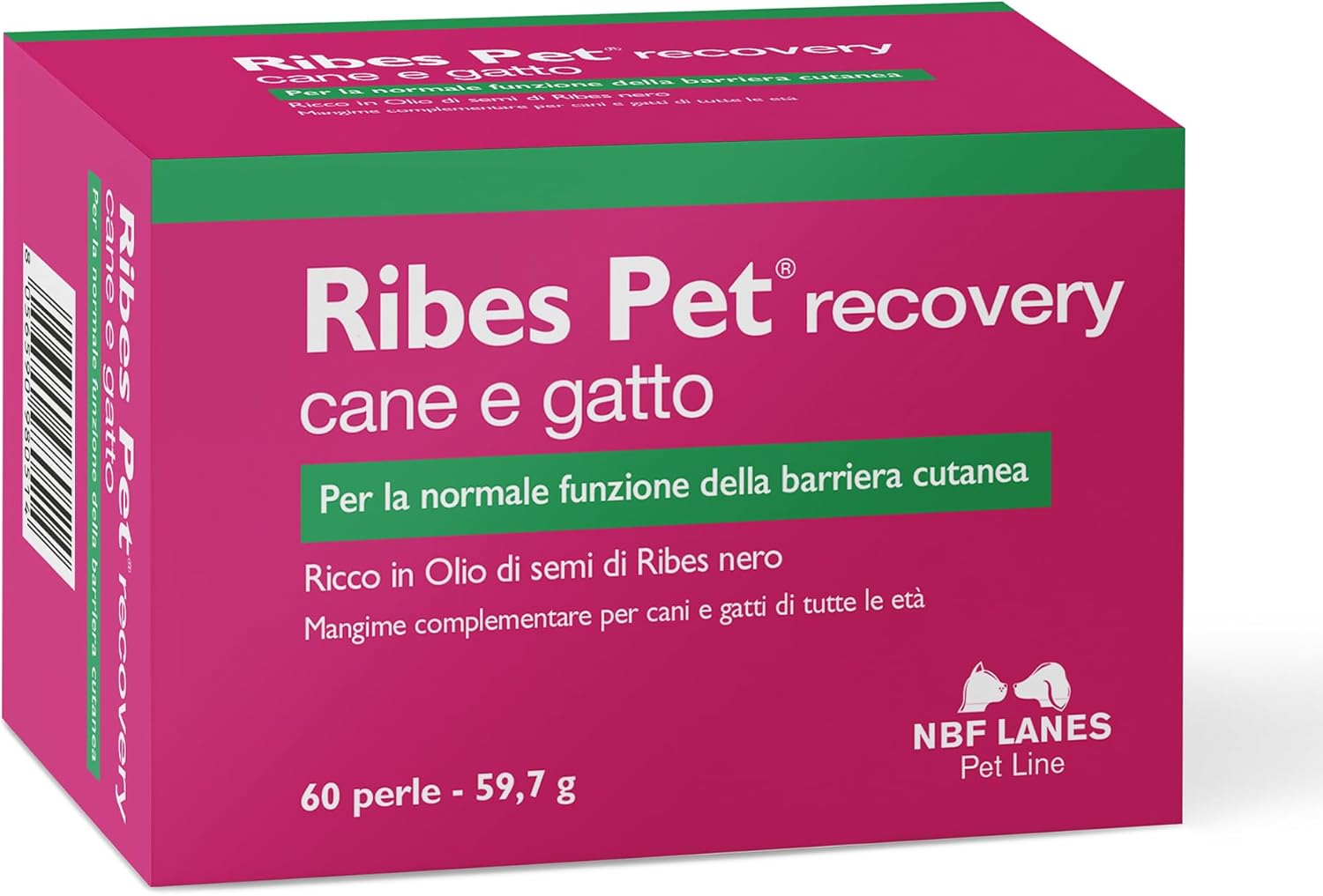 Ribes Pet Recovery