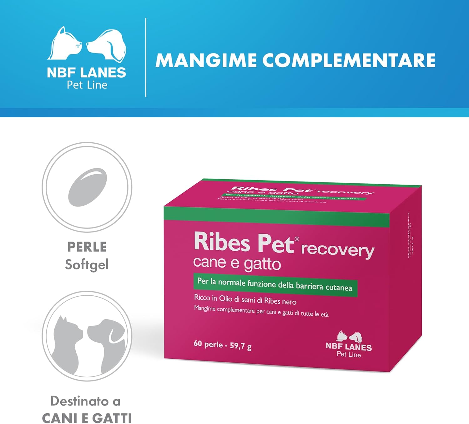 Ribes Pet Recovery zdjęcie 2