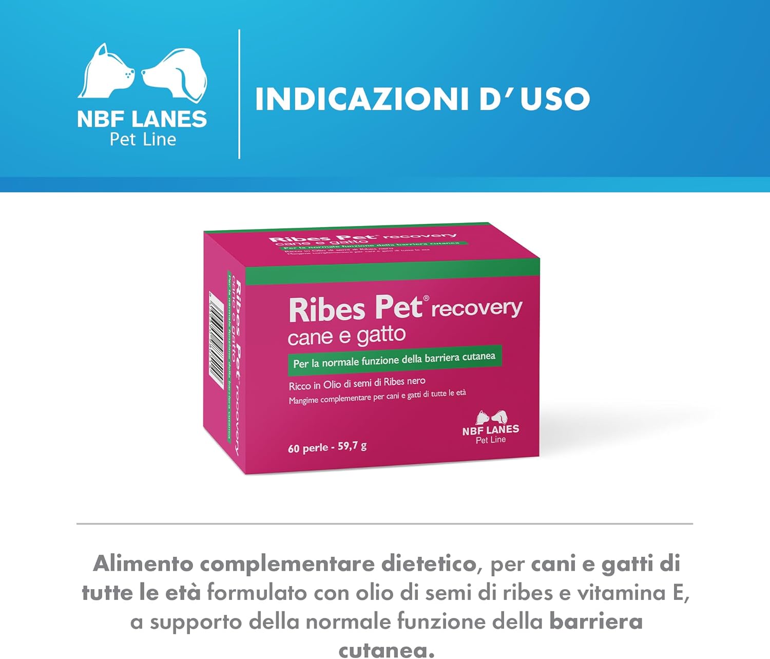 Ribes Pet Recovery zdjęcie 3