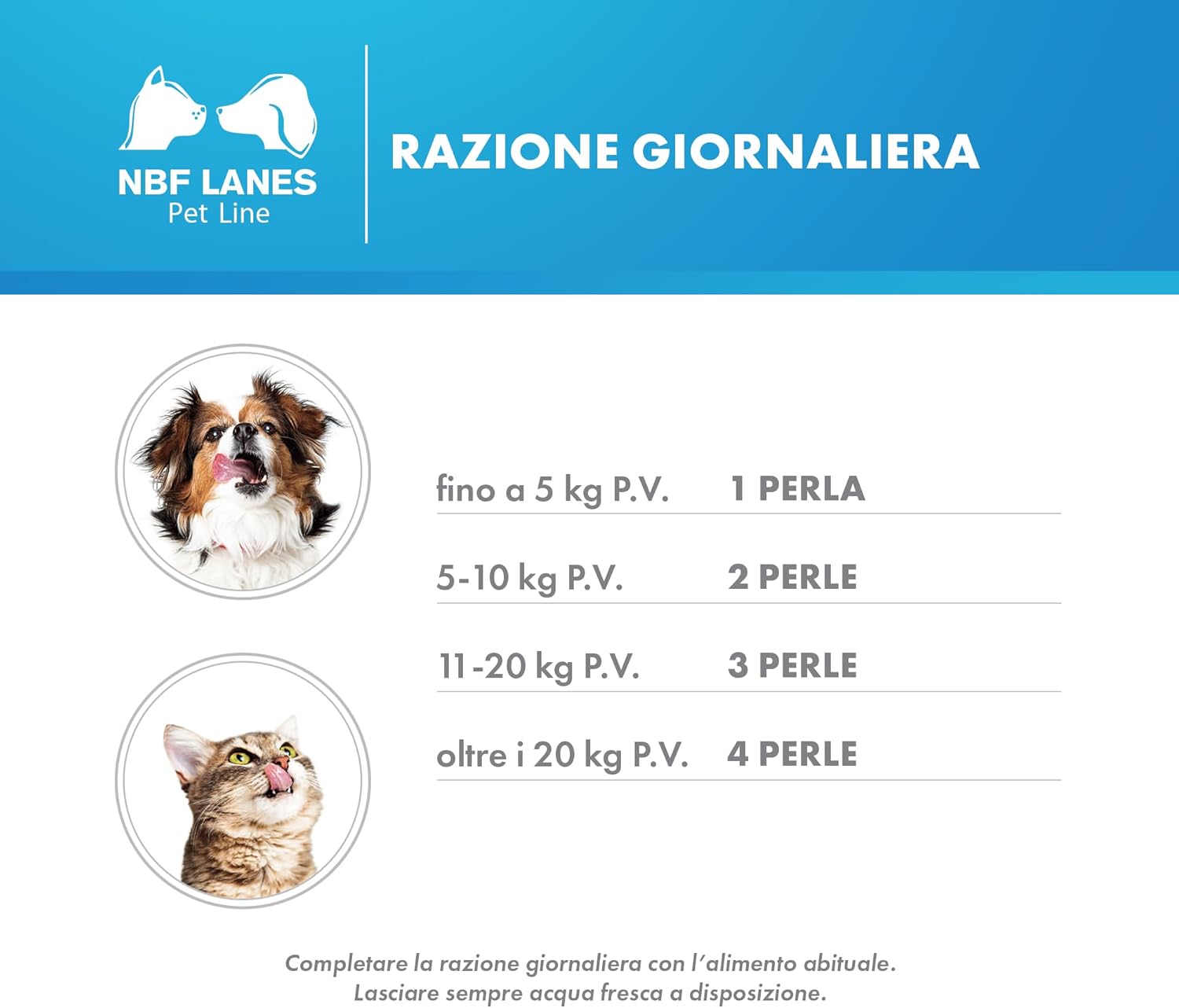 Ribes Pet Recovery zdjęcie 4