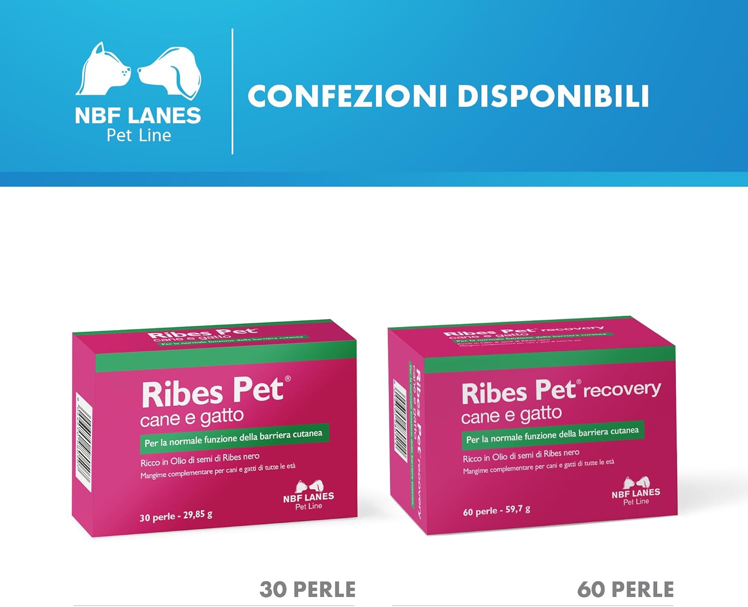 Ribes Pet Recovery zdjęcie 6
